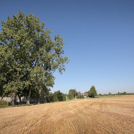 B&B Het Rooj Holsbeek Buitenkant foto