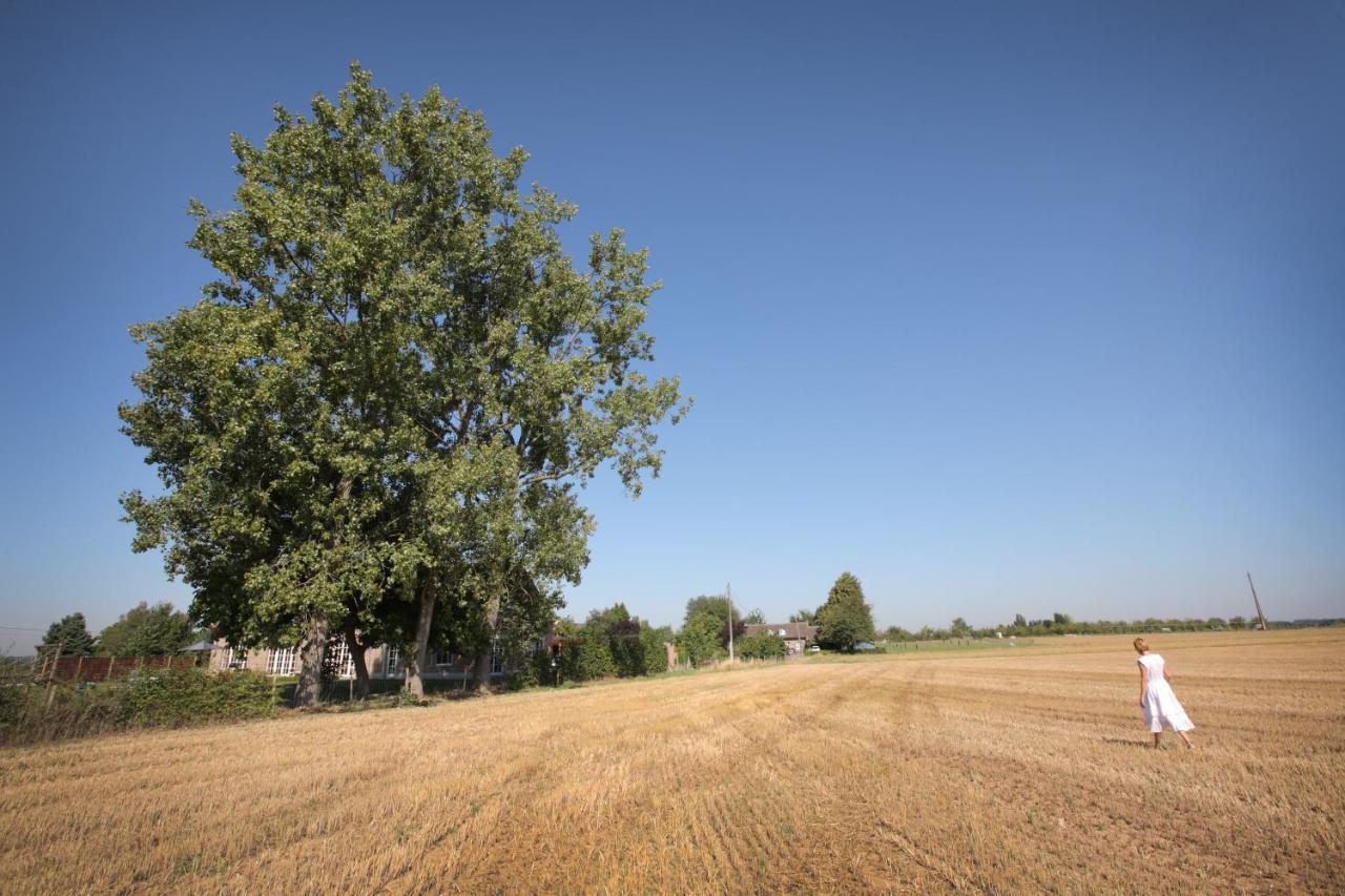 B&B Het Rooj Holsbeek Buitenkant foto
